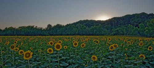 Z5E_8040-NEF_DxO_DeepPRIME_Nik-gigapixel-very_compressed-scale-2_00x_Nik_DxO