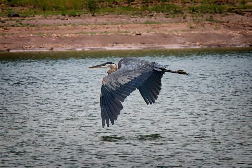Z5E_8325-NEF_DxO_DeepPRIME_Nik-DeNoiseAI-standard_Nik_Nik-SharpenAI-Focus_DxO