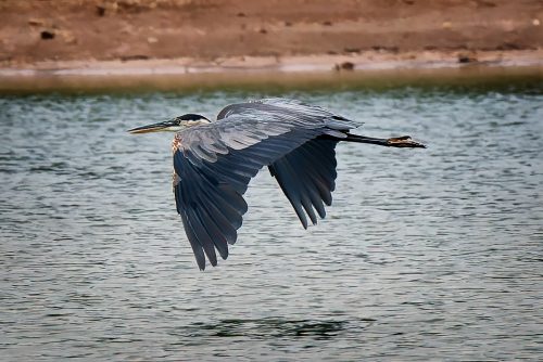 Z5E_8326-NEF_DxO_DeepPRIME_Nik-DeNoiseAI-standard_Nik_Nik_DxO