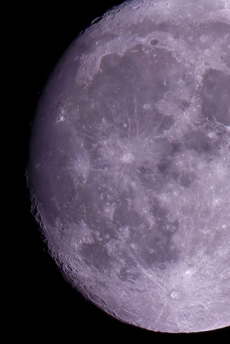 Z5E_8720_Nik-DeNoiseAI-standard_Nik_DxO