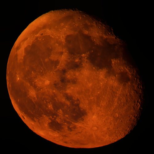 Z5E_8821-NEF_DxO_DeepPRIME_Nik-DeNoiseAI-standard_Nik_Nik_DxO