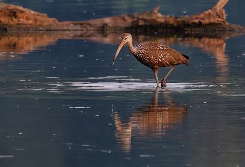 Z5E_8849-NEF_DxO_DeepPRIME_Nik-DeNoiseAI-standard_Nik_DxO
