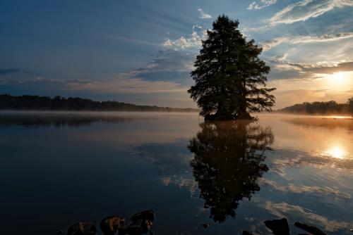 Z5E_9099-NEF_DxO_DeepPRIME_Nik-DeNoiseAI-low-light_Nik_Nik_DxO