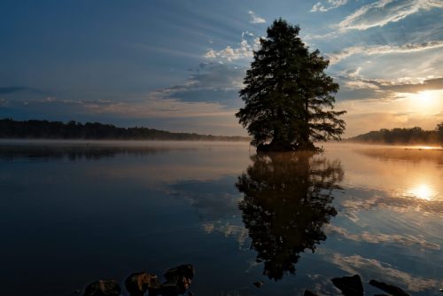 Z5E_9099-NEF_DxO_DeepPRIME_Nik-DeNoiseAI-low-light_Nik_Nik_DxO