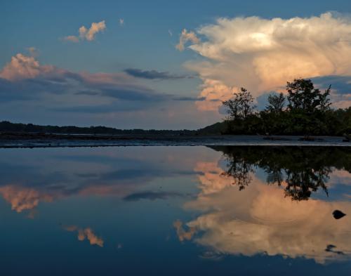 Z5E_9525-NEF_DxO_DeepPRIME_Nik-DeNoiseAI-standard_Nik_DxO_cropped